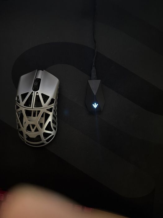 Wlmouse x beast max