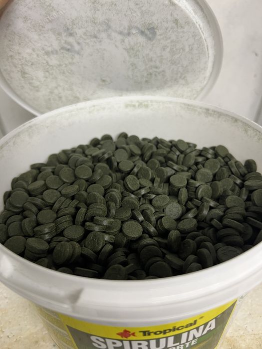 Храни на JBL и Tropical - таблетки