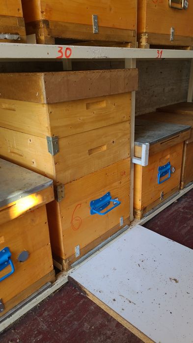 Omologat Apicol- camion MAN 12t