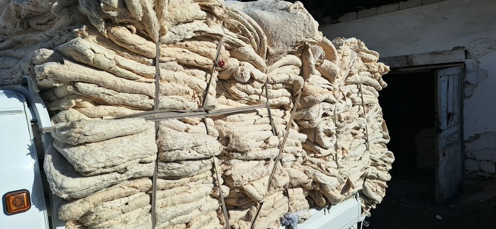 Paxta olamiz eski kurpa tushaklani olib ketamiz