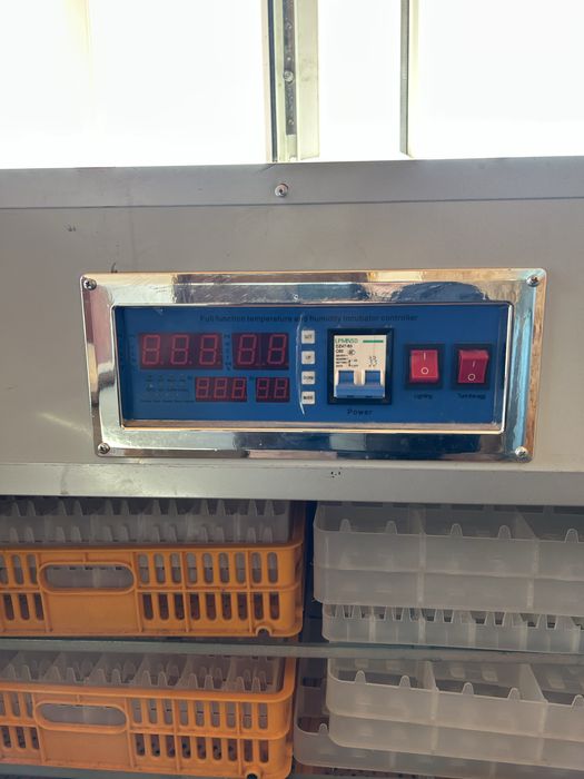 Инкубатор бизон 528