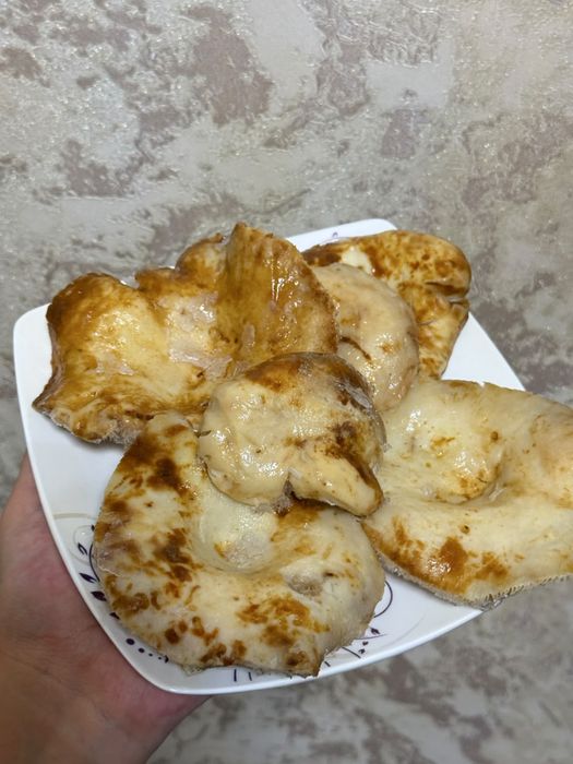 Грибы Беллый груздь