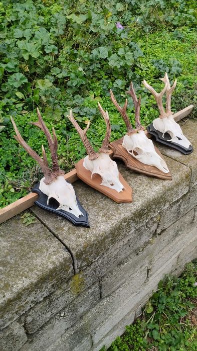 Украса за механи