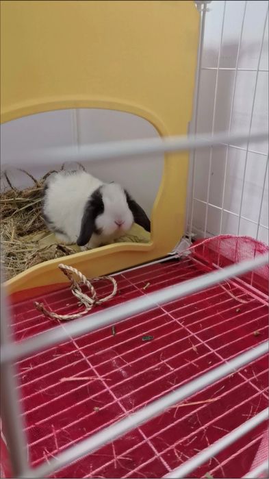 Mas’uliyatni o‘rgatadigan eng yumshoq yo‘l