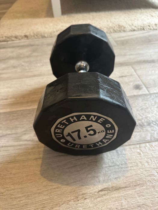 Gantera din poliuretan 17.5kg