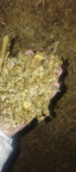 Макка силос сенаж сенаш синаш сенаш маккажўхори ўт беда самон прес