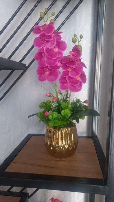 Sovg’alar uchun ajoyib tanlovlar.