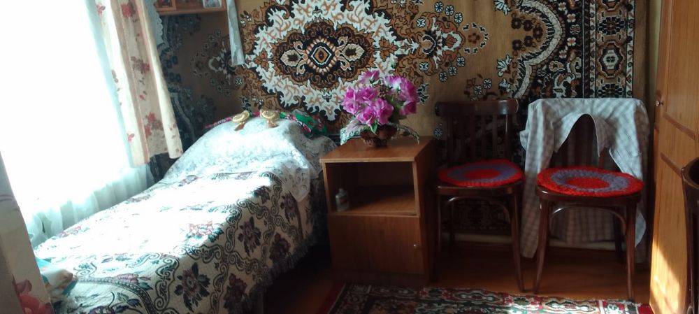 частный дом в затоне