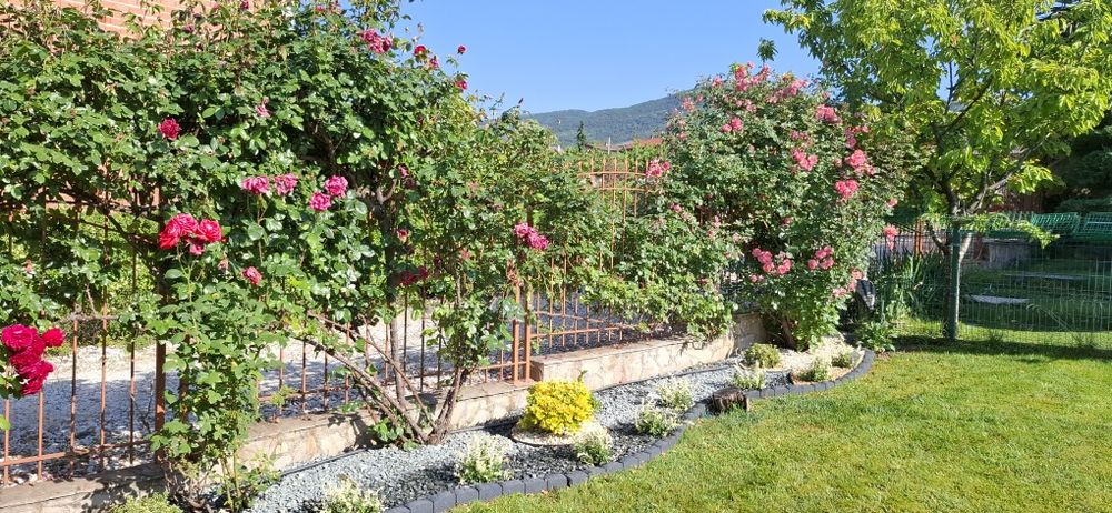 Озеленяване и декорация Тревен чим