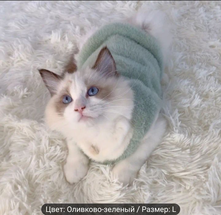 Продам кофточку для питомца