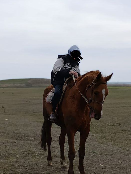 Продается 3 года