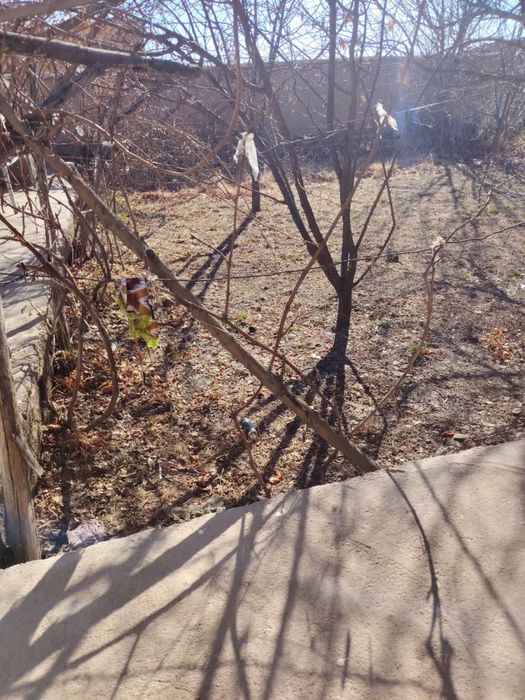 Срочно Ховли Сотилади !!!