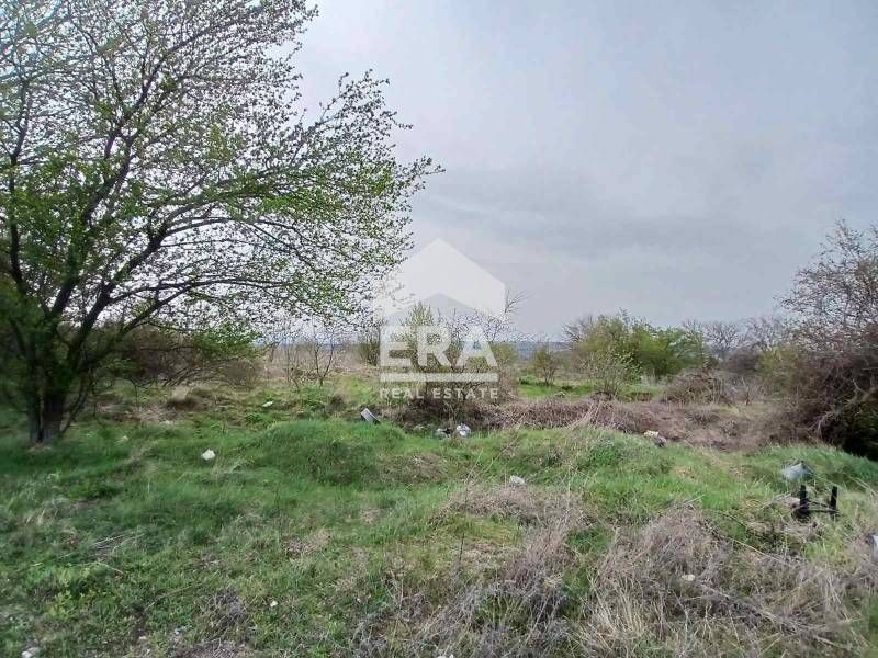 Продава се Парцел в с. Добрина, Област Варна - 5998 кв.м за 6 €/кв.м - Снимка #2