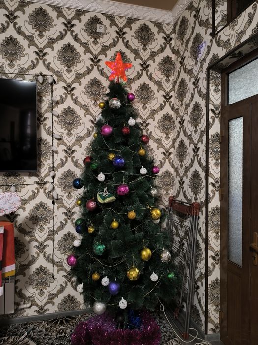 Archa 2.4 metr 240 cm. Narxi 600 ming sum.