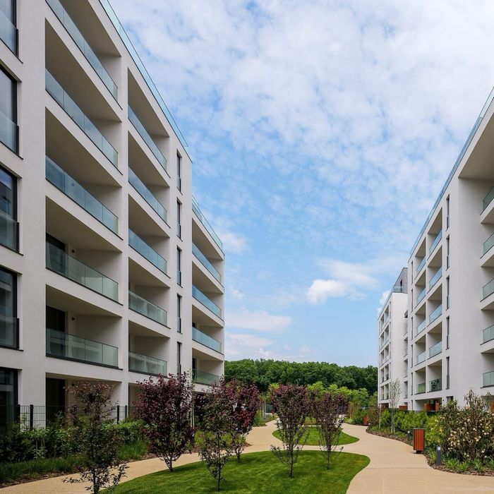 Locul tău exclusiv de parcare in The Ivy C1 str. Jandarmeriei