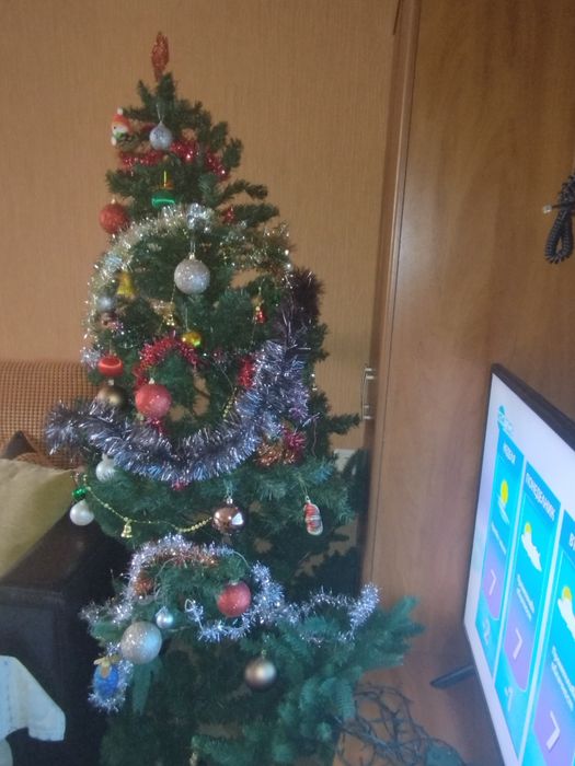 Елха 60 см.на три нива.