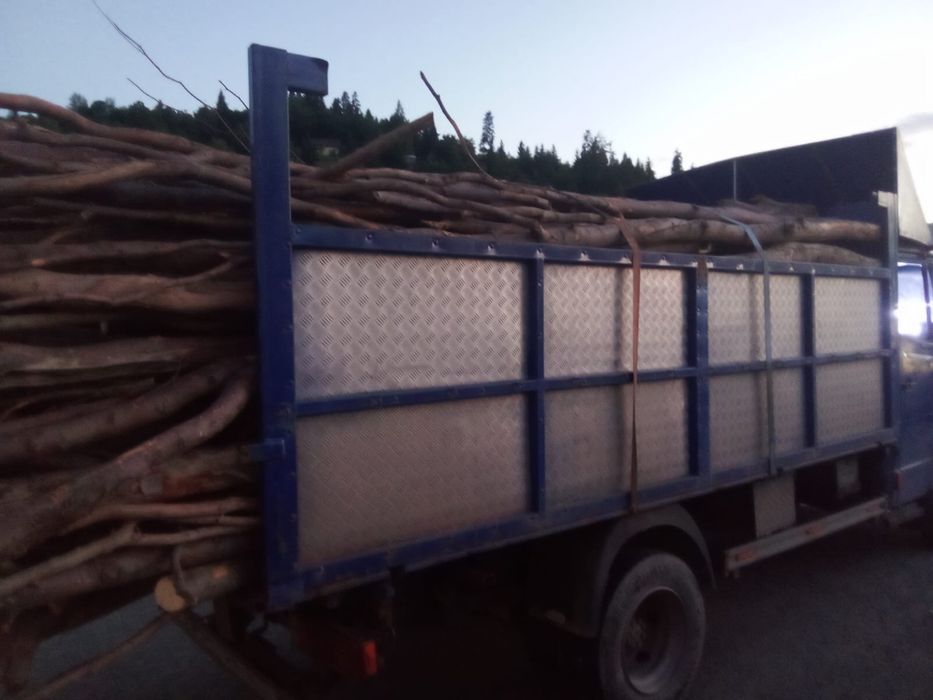Mercedes Vario, diesel, 2900cm3,