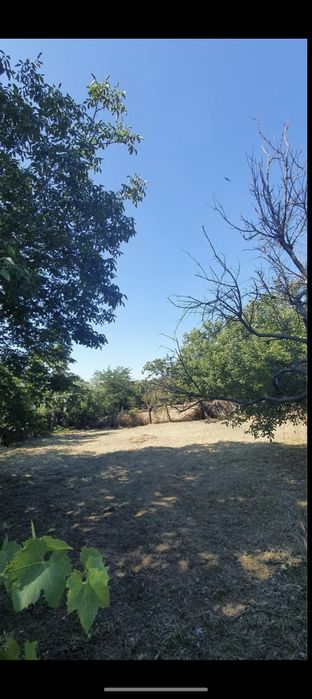 Casa Verbita+Livada de Pruni