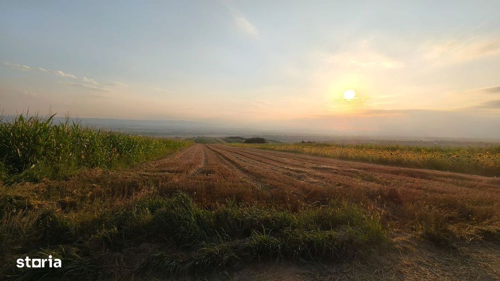 Teren intravilan 5700 mp, Vadu Moldovei