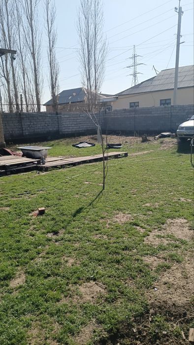 To‘ytepada joylashgan uy