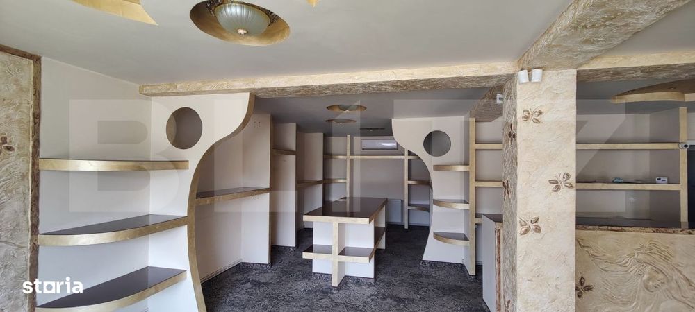 „Casa Lily” – Cladire Emblematica cu Potential Comercial Except