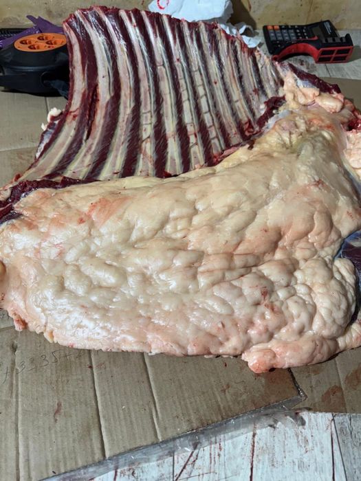 Мясо конины Жылқы ет