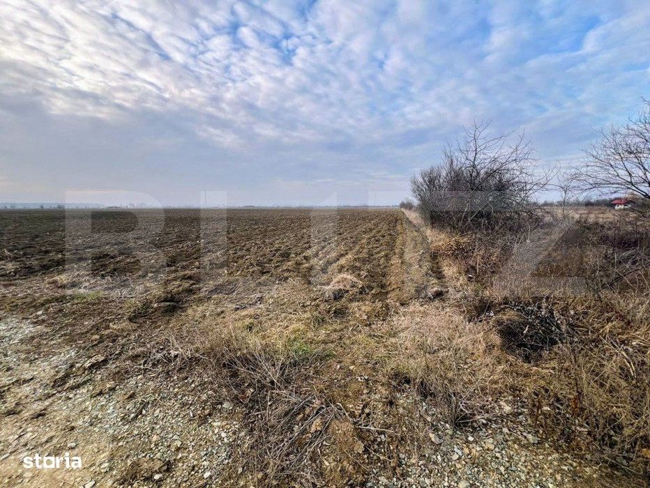 Oportunitate-Teren intravilan de vanzare, 5000 mp, zona Comuna Danesti