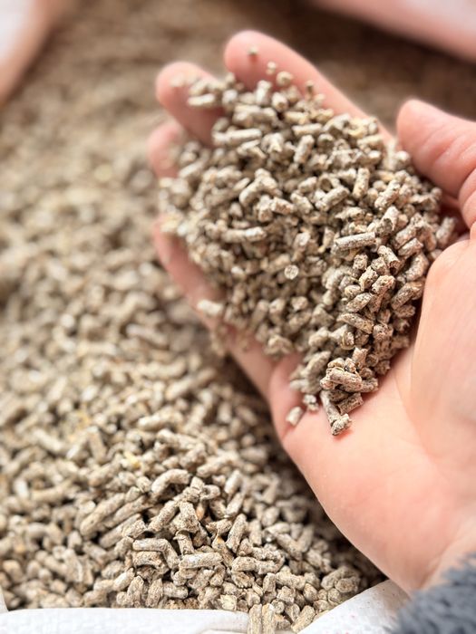 Рост для всех видов