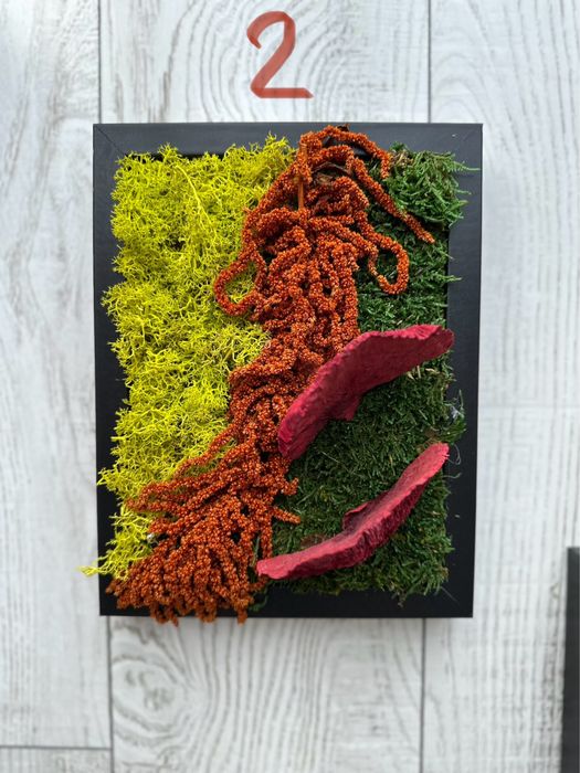 Tablouri licheni noi 3bucati