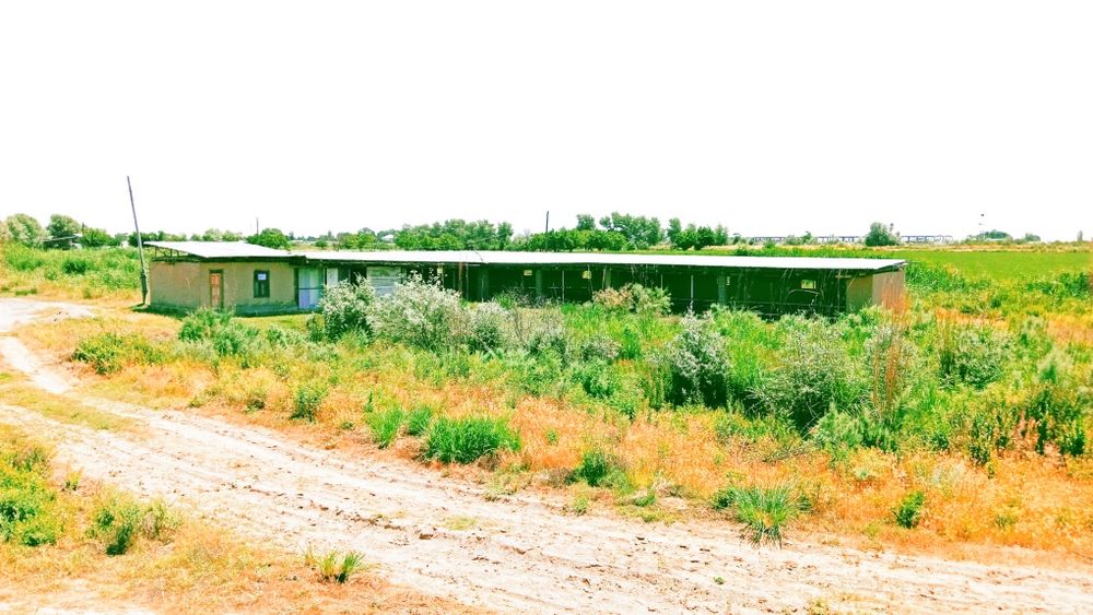Рыбхоз Рыбхоз Рыбхоз