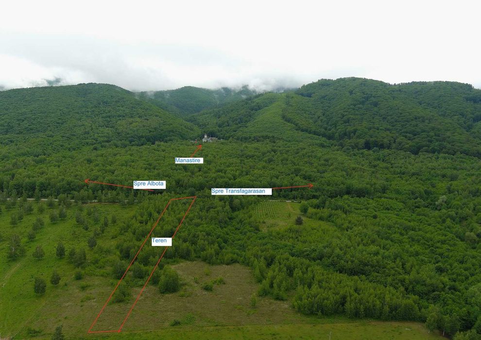 Teren  Transfagarasan Cartisoara