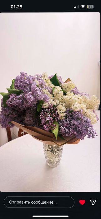 Сирень апрельская с доставкой