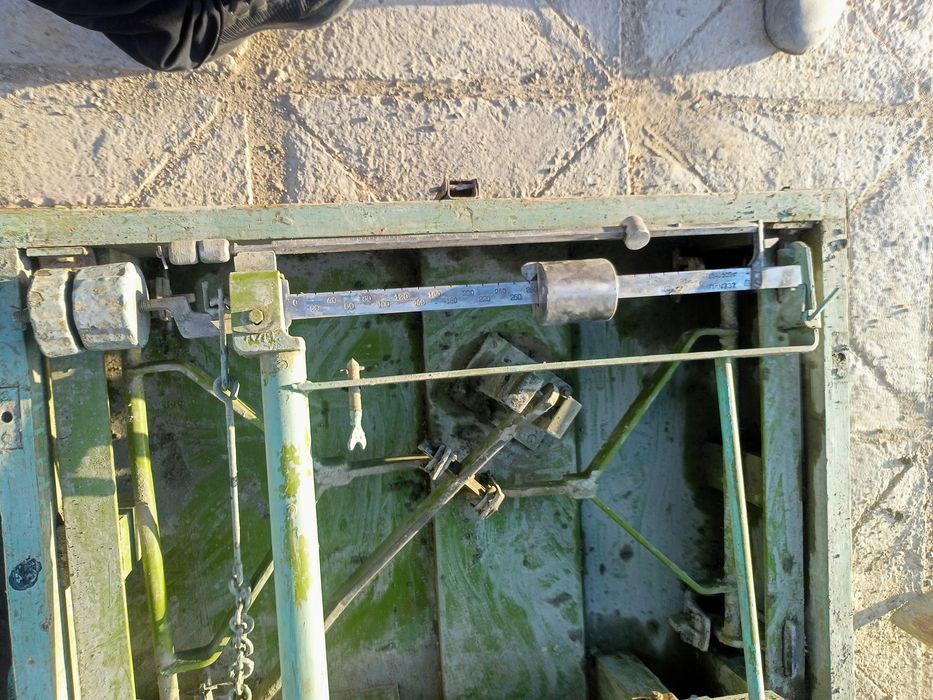 Весы 500 кг переносной