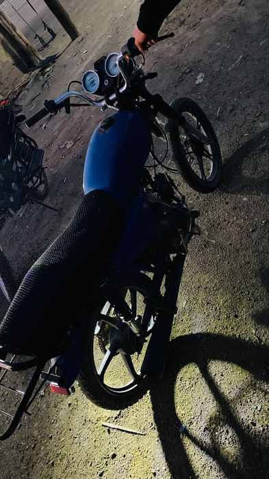 Продам алфа рейсар