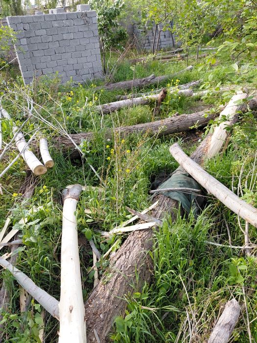 Terak 6 va 4  metrli qalinlari sotiladi