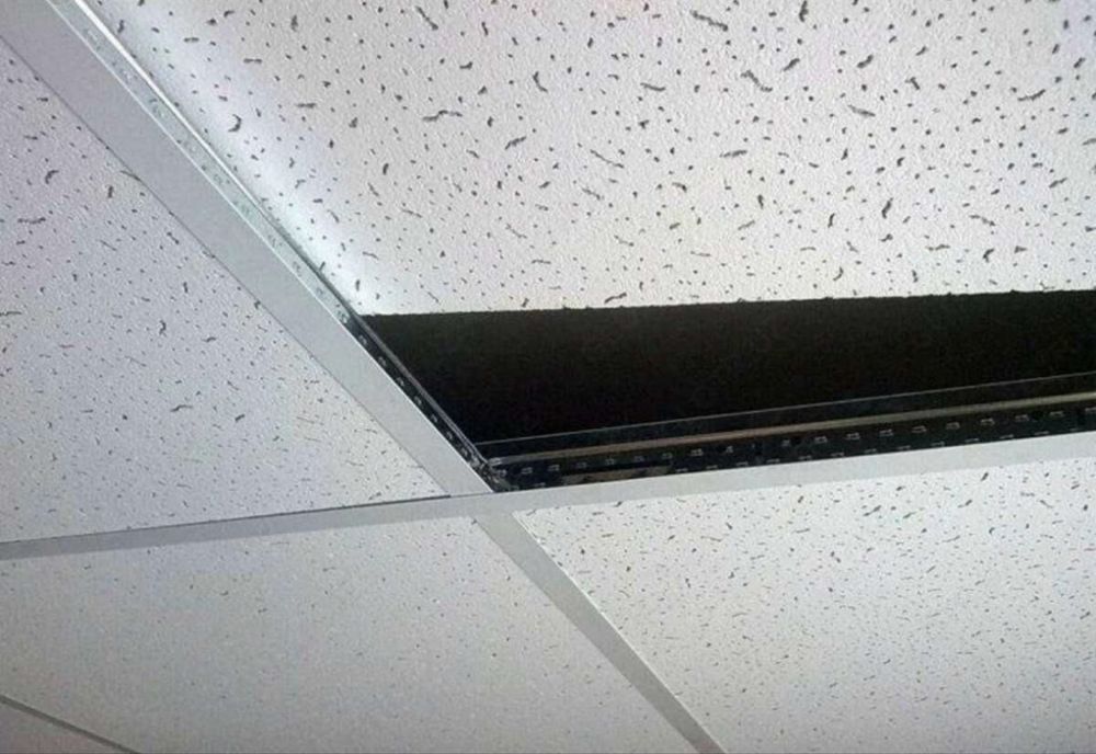 Потолочный панель