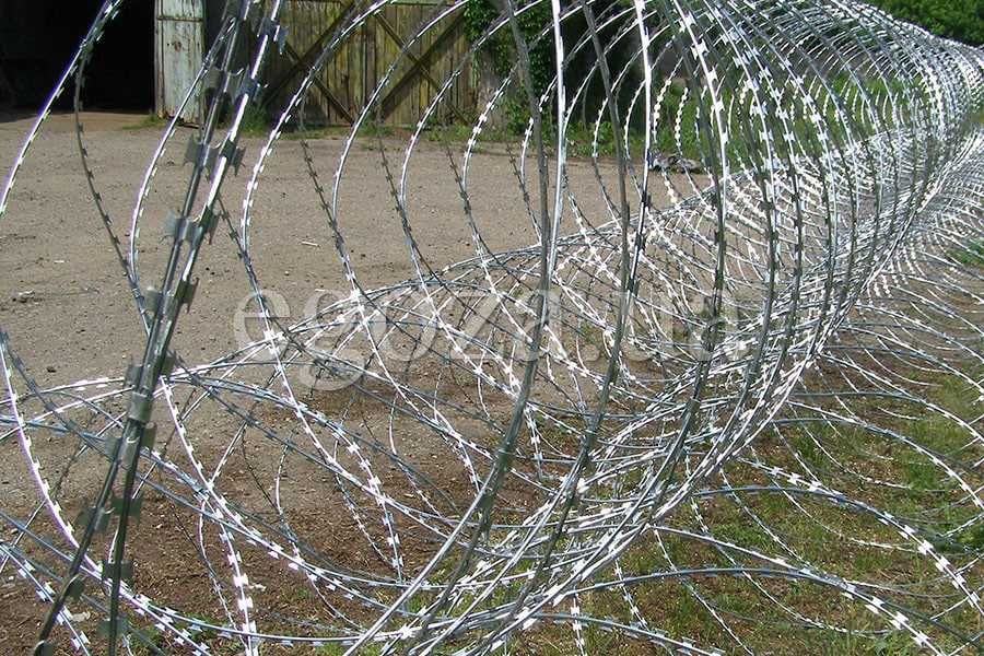 Егоза колючая проволока Egoza Igoza yegoza Tikonli sim Тикон сим оптом