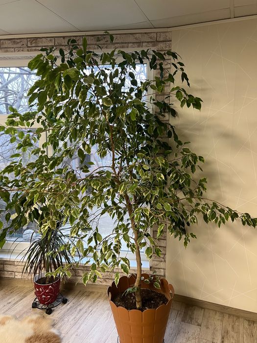 Кухненски термо плот