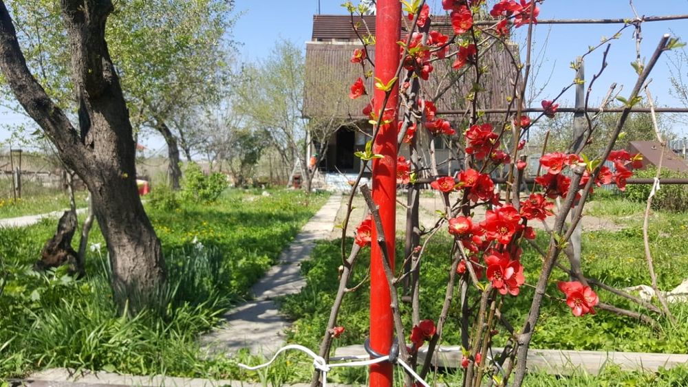 Участок с домом 22 сотки