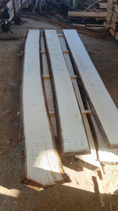 Vand cherestea de tei netivita