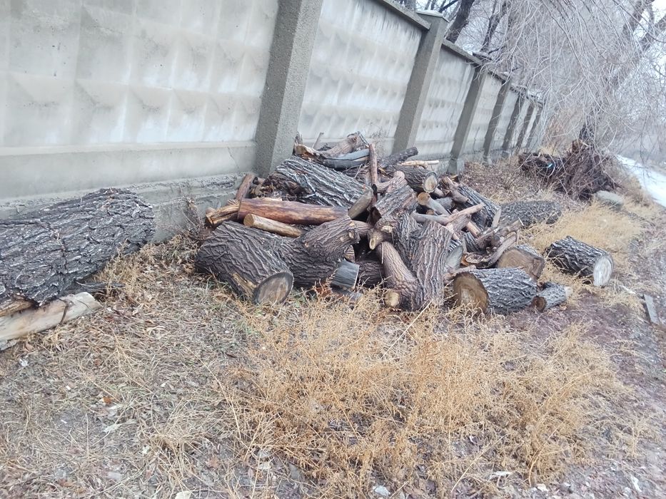 Дрова на растопку, самовывоз находится в городе