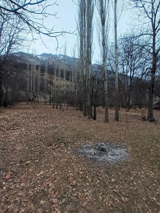 Здравствуйте дорогие друзья я вам обейвляю у меня есть земля каторие в