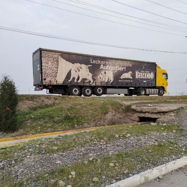 Даф тигач 2006 прицеп 2008