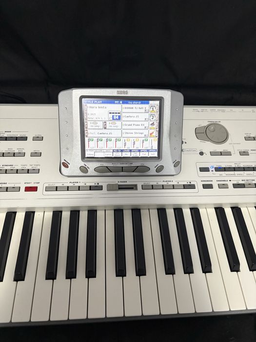 Vand korg pa2x pro 256mb ram+husa