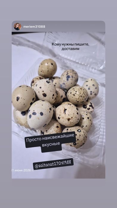 Продам перепелинные яйца