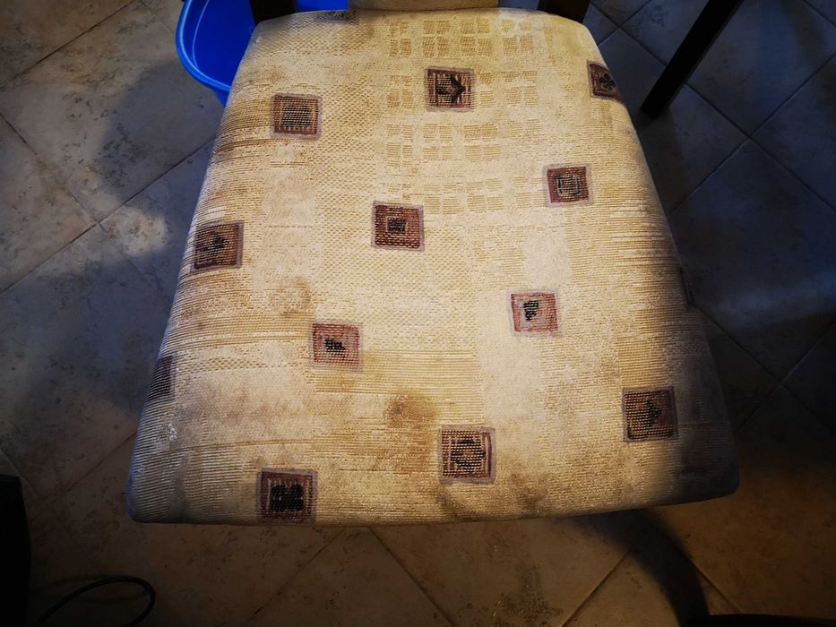 Пране на мека мебел и автотапицерия, почистване на жилища и офиси