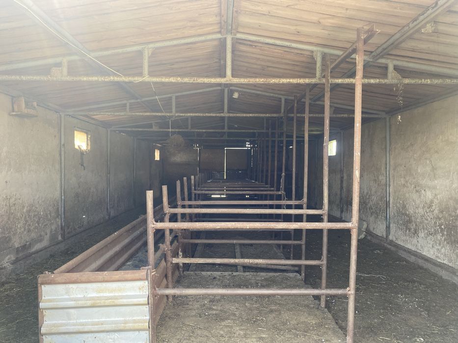 Продам фазенду срочно