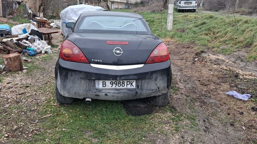 Опил тигра 2006 г