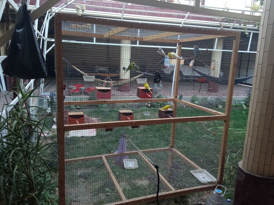 Кушлар сотилади қафаси билан