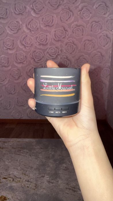 Колонка для музыки